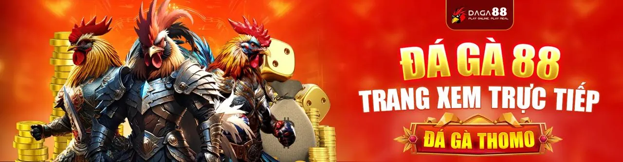 Sân đấu đá gà trực tuyến win999 sôi động