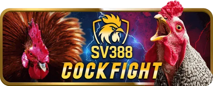 Chương trình khuyến mãi và VIP Win999